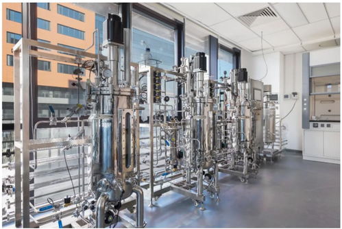 30萬億美元潛在市場 廣東軟件開發能否成為中國經濟增長新引擎？